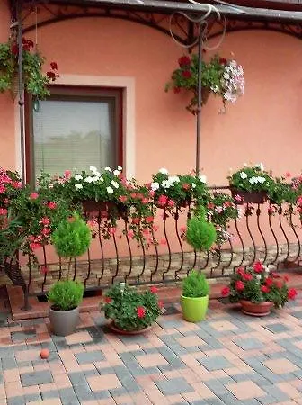 Alba Regia Pansion Egri Penzión pre hostí 3*