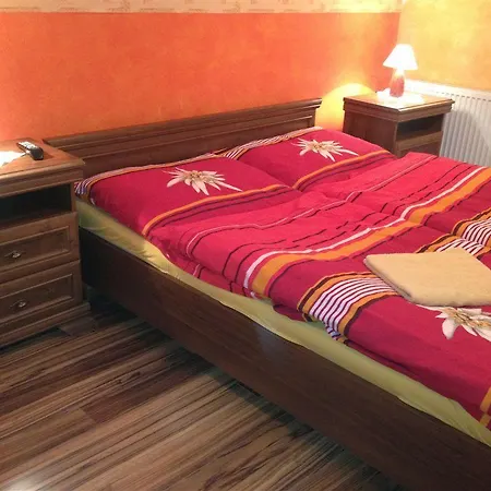 Penzión pre hostí Alba Regia Pansion Egri 3*