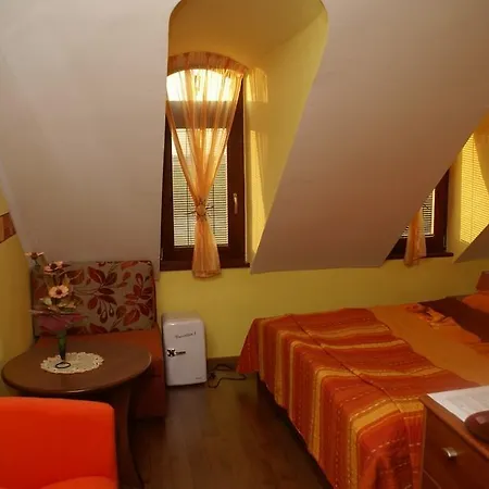 Penzión pre hostí Alba Regia Pansion Egri 3*