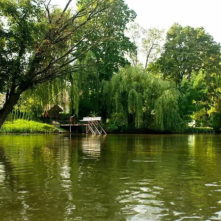 Penzión pre hostí Alba Regia Pansion Egri