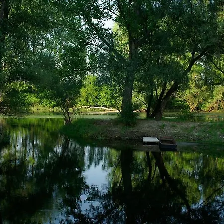 Penzión pre hostí Alba Regia Pansion Egri Jahodna