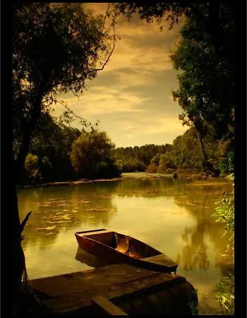 Alba Regia Pansion Egri Penzión pre hostí