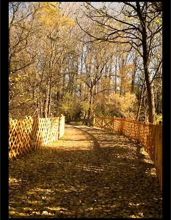 Alba Regia Pansion Egri