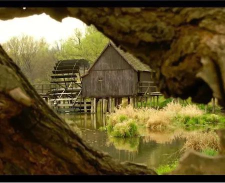 Penzión pre hostí Alba Regia Pansion Egri Jahodna