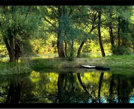 Alba Regia Pansion Egri Jahodna