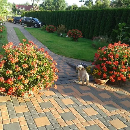 Alba Regia Pansion Egri Jahodna