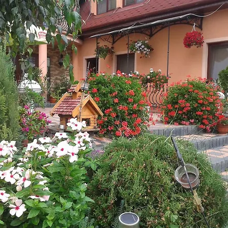 Alba Regia Pansion Egri Penzión pre hostí 3*