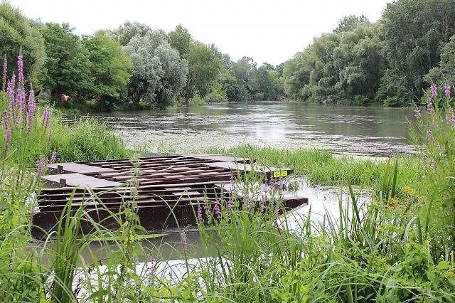 Alba Regia Pansion Egri 3* Jahodná