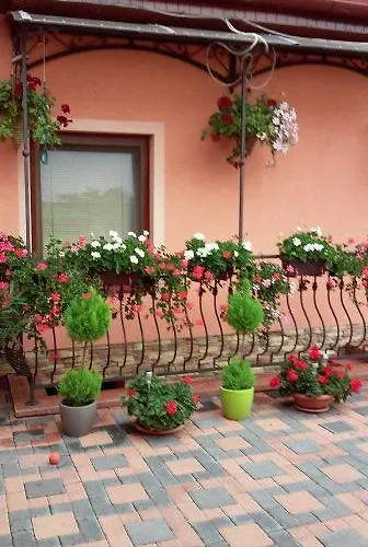 Alba Regia Pansion Egri Vendégház 3*