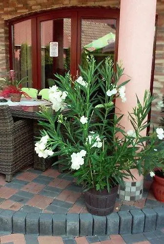 Alba Regia Pansion Egri Vendégház Eprestető