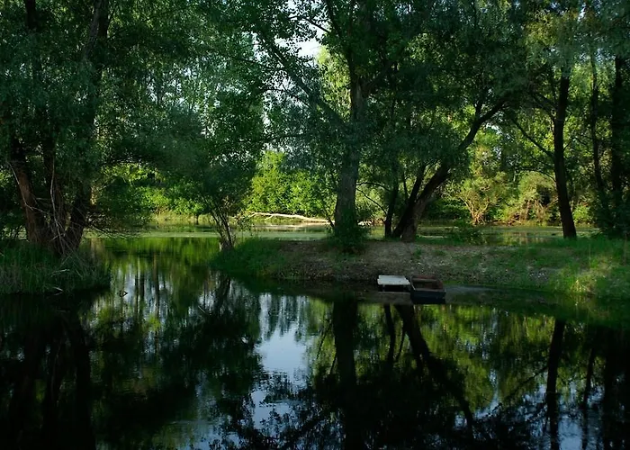 게스트하우스 Alba Regia Pansion Egri Jahodná