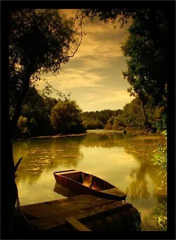 Alba Regia Pansion Egri 게스트하우스