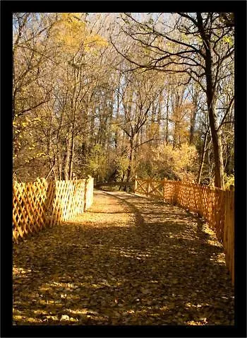 Alba Regia Pansion Egri