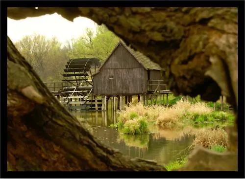 게스트하우스 Alba Regia Pansion Egri Jahodná