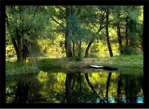 Alba Regia Pansion Egri Jahodná