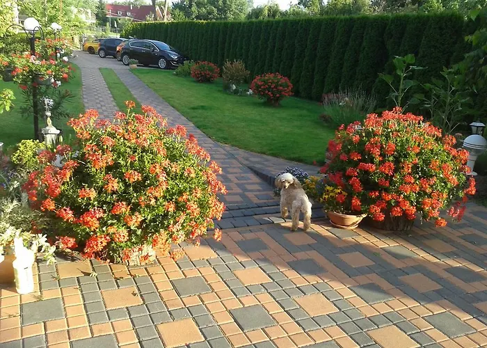 Alba Regia Pansion Egri Jahodná